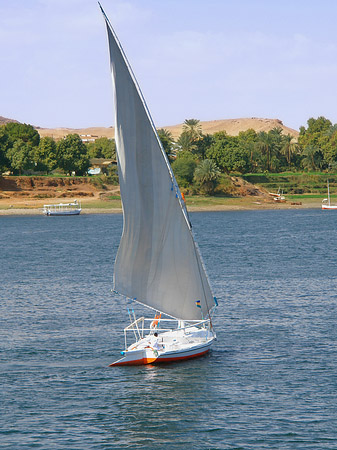 Foto Felucca