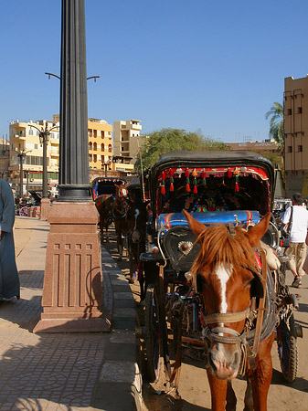 Foto Kutschen - Luxor