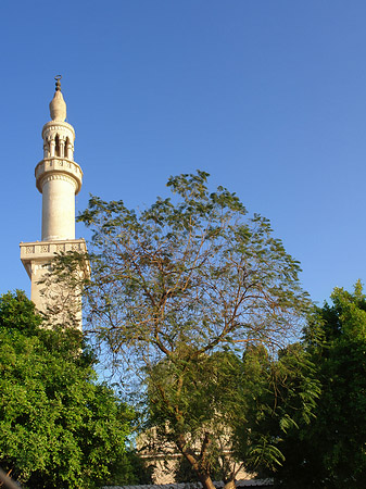 Moschee in Luxor Fotos