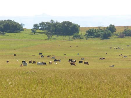 Fotos Landschaften | 