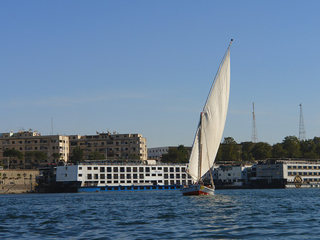 Foto Felucca