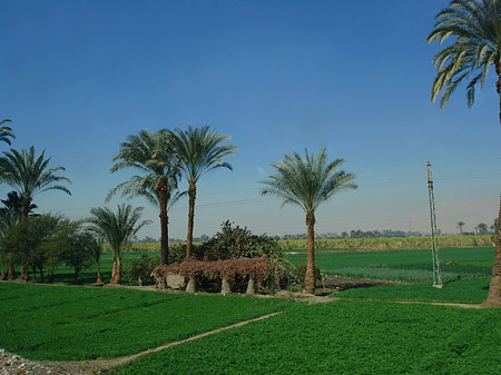 Fahrt von den Kolossen nach Luxor Fotos