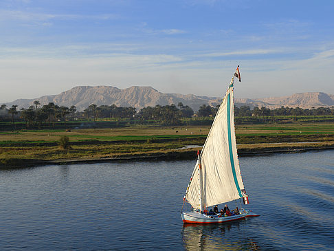 Felucca