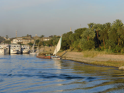 Fotos Felucca | 