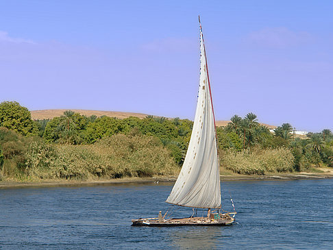 Felucca