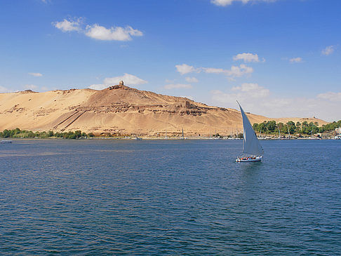 Foto Felucca