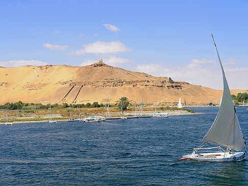 Fotos Felucca