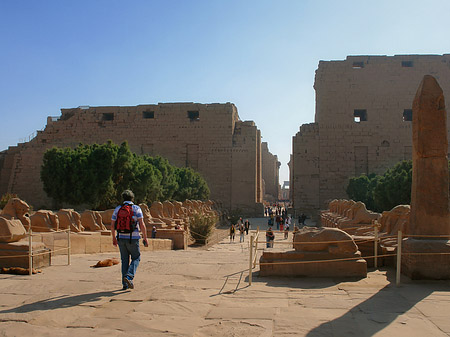 Karnak Tempel Foto 