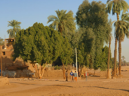 Foto Hütten - Luxor