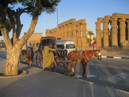 Luxor Tempel bei Sonnenuntergang Foto 