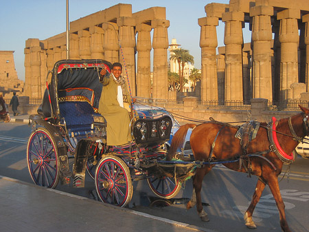 Fotos Luxor Tempel bei Sonnenuntergang | Luxor