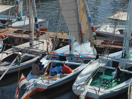 Foto Felucca