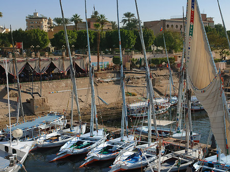 Felucca Foto 