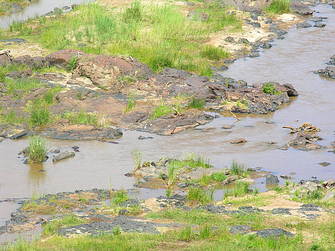 Foto Fluss in Olifants - Olifants