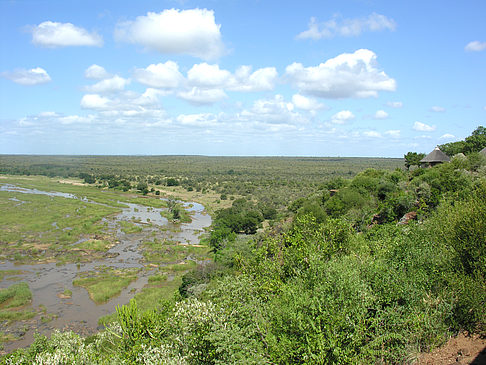 Foto Landschaften - Olifants