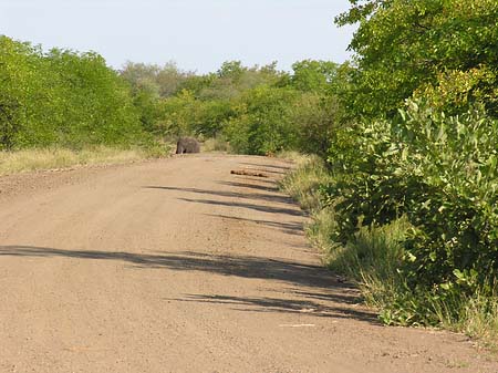 Fotos Straßen | 