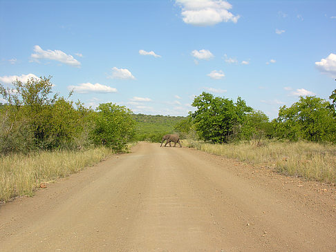 Foto Straßen - 