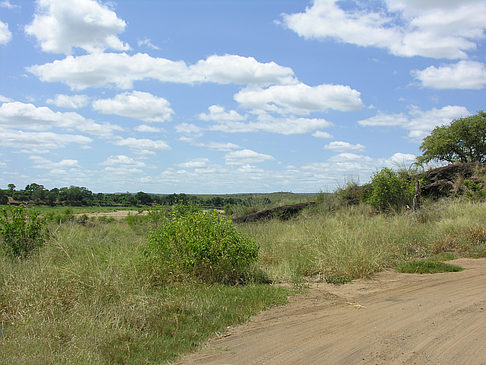 Foto Straßenränder