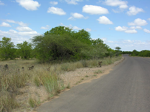 Foto Straßenränder - 