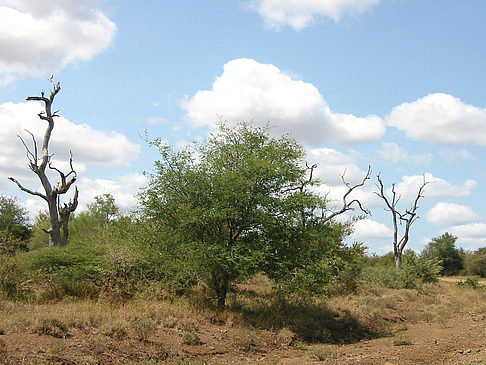 Landschaften