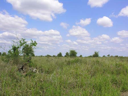 Foto Landschaften - 