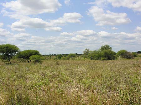 Landschaften Foto 