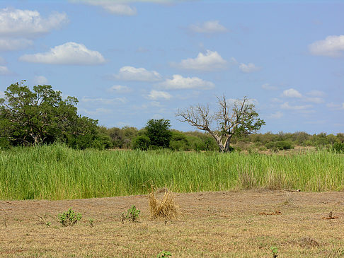 Foto Landschaften