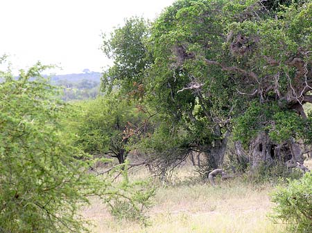 Foto Landschaften - 