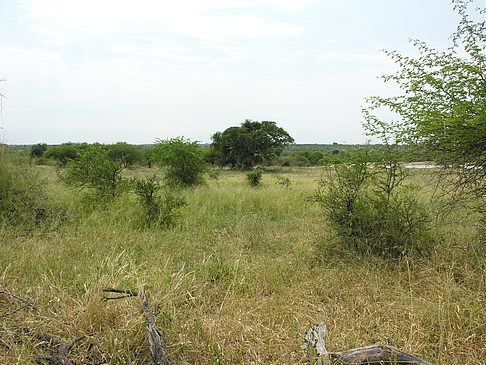 Fotos Landschaften