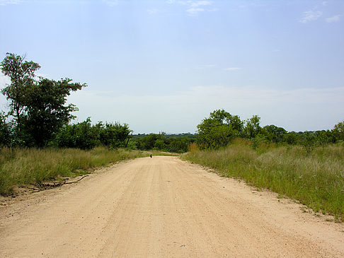 Fotos Straßen | 