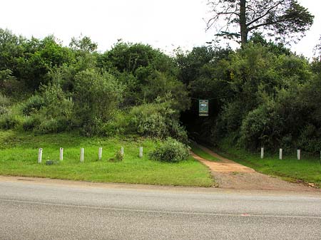 Straßenränder Foto 