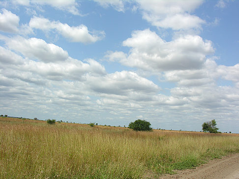 Foto Straßenrand - 