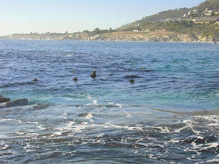 Fotos Blick vom Strand auf das Meer