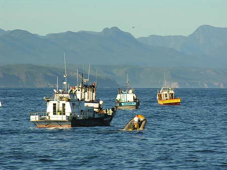 Foto Boote nahe dem Strand - 