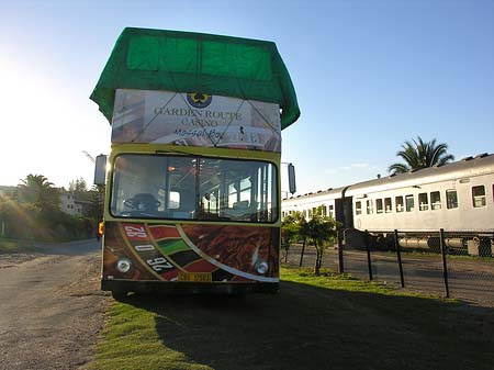 Bus in Mossel Bay Foto 