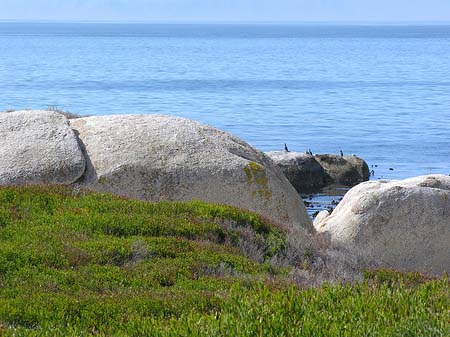 Foto Felsen am Strand - 