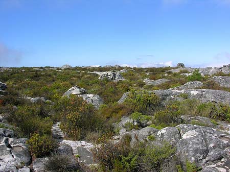 Fotos Landschaften | 