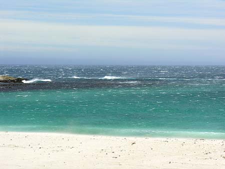 Strand von Kapstadt Foto 