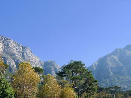 Der Tafelberg Fotos