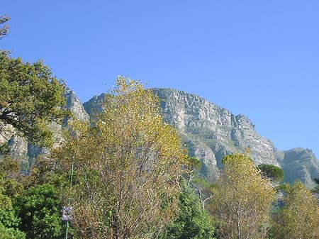 Der Tafelberg Foto 