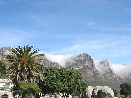 Der Tafelberg