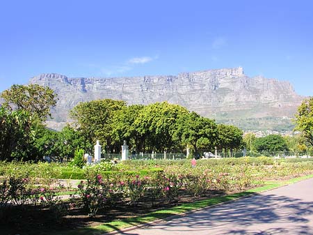 Fotos Kapstadt und Camps Bay